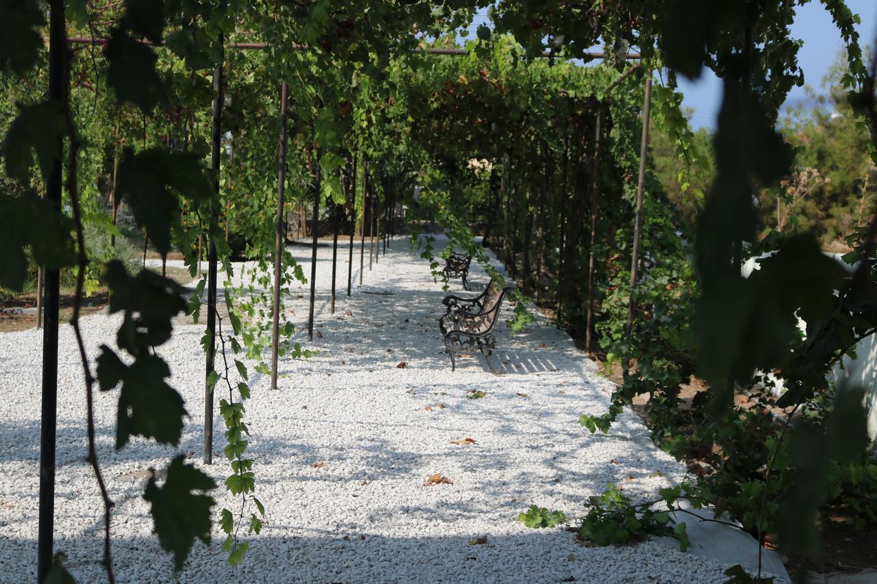Meryem'S Hotel Agios Epiktitos Εξωτερικό φωτογραφία