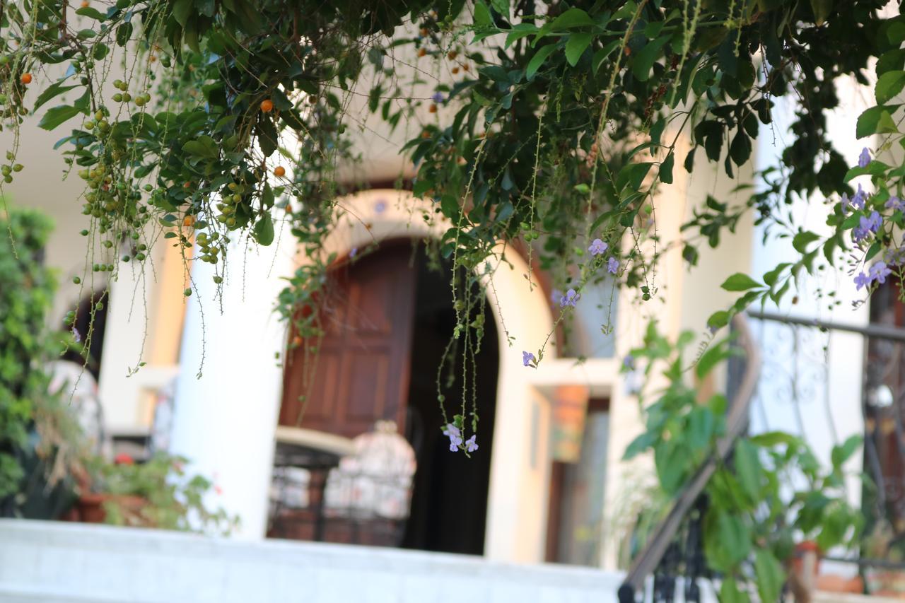 Meryem'S Hotel Agios Epiktitos Εξωτερικό φωτογραφία